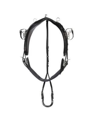 Pro QH Synthetic Training Harness, KIT