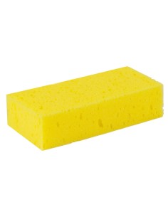 Sponge