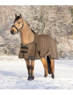 ARCTIC Turnout Rug, 300 g