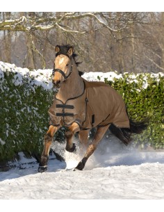 ARCTIC Turnout Rug, 300 g 2