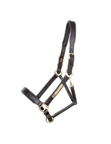 Leather halter Kavalkade "Cinta"