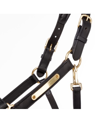 Leather halter Kavalkade "Cinta"