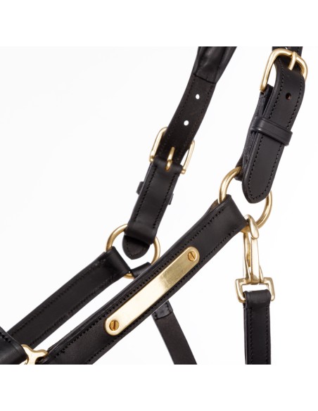 Leather halter Kavalkade "Cinta"