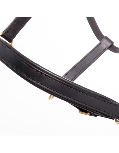 Leather halter Kavalkade "Cinta"