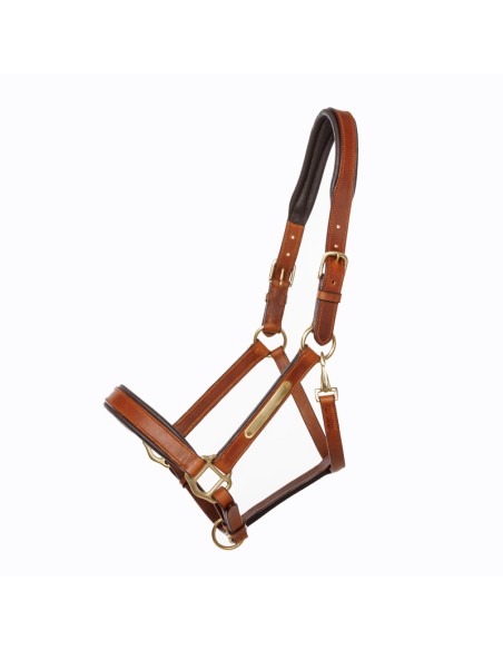 Leather halter Kavalkade "Cinta"