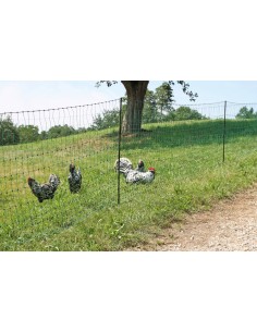 Poultry Netting Electric fence - 25 m/106 sm -Green 2