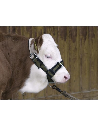 Halter