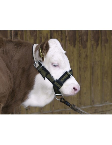 Halter