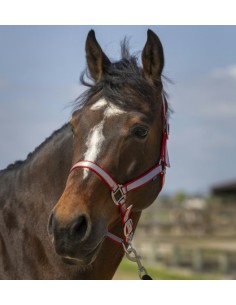 NORTON "NYLON SOFT" HEADCOLLAR