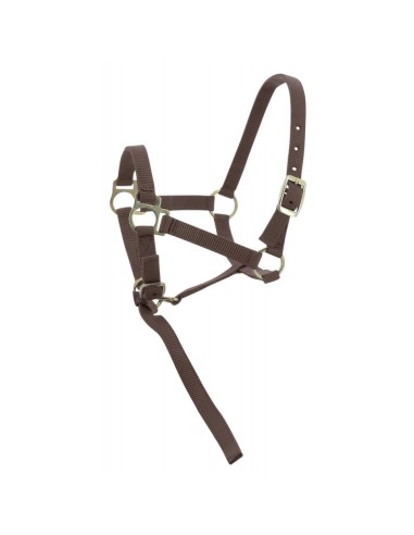 NORTON FOAL HEADCOLLAR + LEAD ROPE