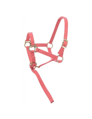 NORTON FOAL HEADCOLLAR + LEAD ROPE