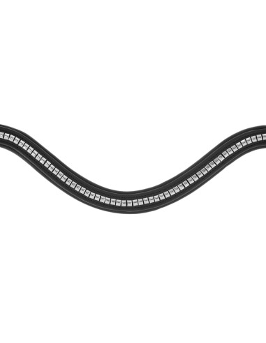 Snaffle Clincher Covalliero