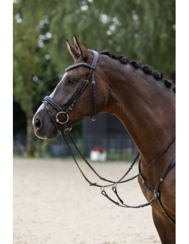 Snaffle Clincher Covalliero