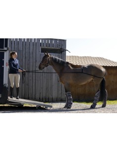Norton Trailer Loading Training Aid