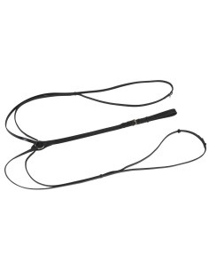 Triangular Reins