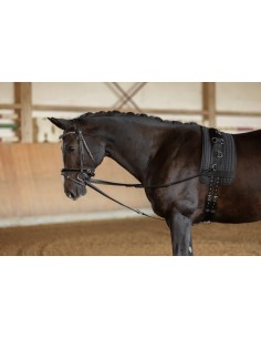 Triangular Reins 2