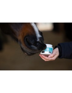 MagicBrush Lip balm for horses Lucky Lips 2