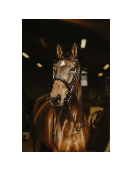 NORTON PRO Smooth Reins Black Buckle