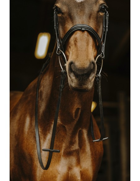 NORTON PRO Smooth Reins Black Buckle