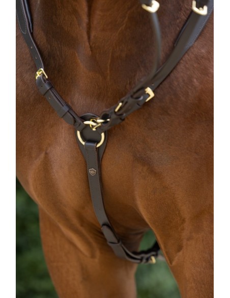 Breastplate Covalliero