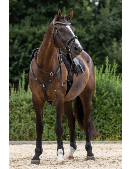 Breastplate Covalliero