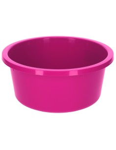 Feeding Bowl