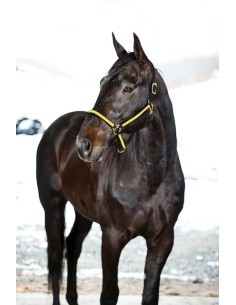 Pro Synthetic Yankee Nylon Halter