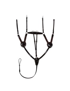 Breastplate with martingale START 5 points