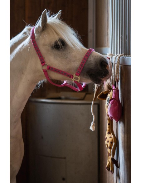 HorseGuard Butterfly halter