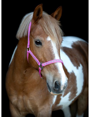HorseGuard Butterfly halter