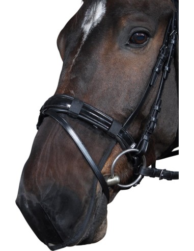 HorseGuard Muzzle protector