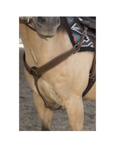 WESTRIDE Hunting collar by Franck Perret - Billy