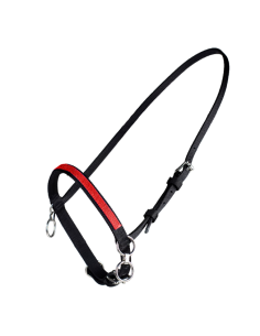 Finntack Pro Synthetic Fixed Head Halter with Martingale...