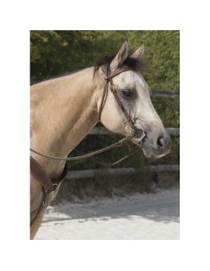 WESTRIDE bridle by Franck Perret - Colorado
