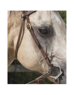 WESTRIDE bridle by Franck Perret - Colorado 2