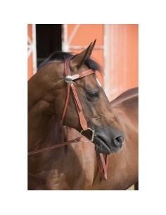 WESTRIDE Bridle - Two Tone 2
