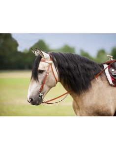 WESTRIDE Bridle - Two Tone