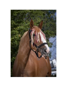 NORTON fly swatter front 2