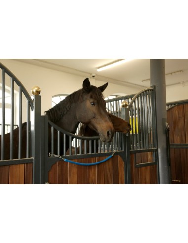Ceiling Mount for Horse Blankets