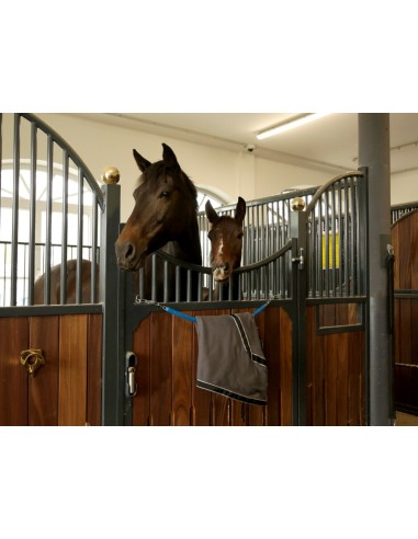 Ceiling Mount for Horse Blankets