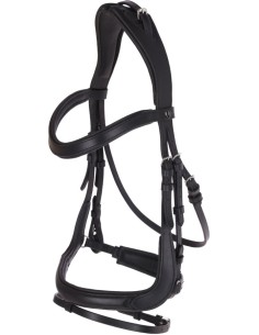 Snaffle Anatomic