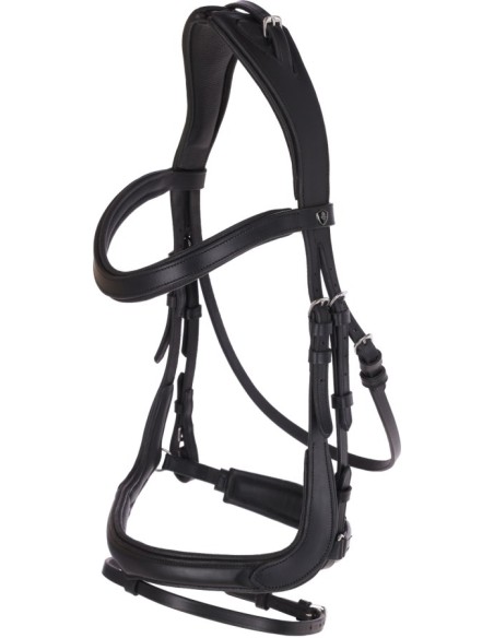 Snaffle Anatomic
