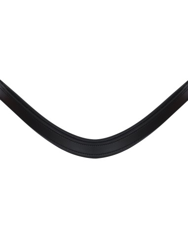 Snaffle Anatomic