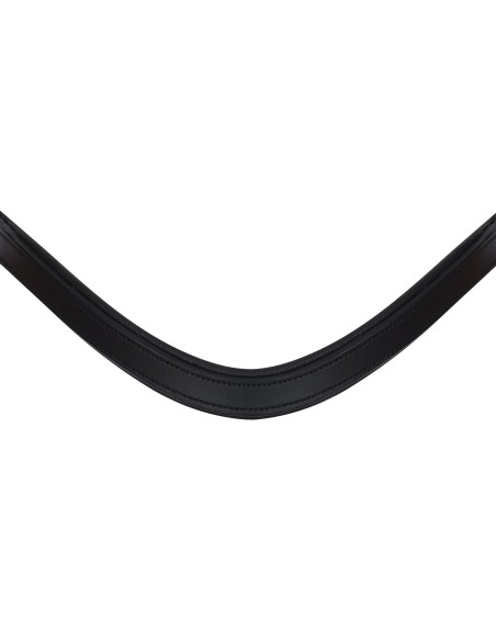 Snaffle Anatomic