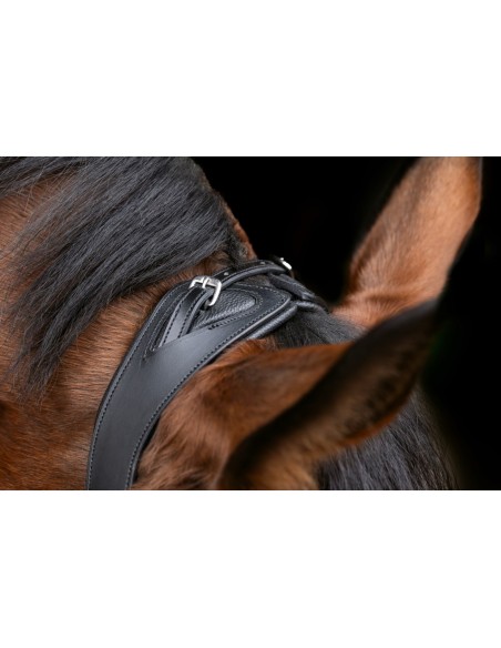 Snaffle Anatomic