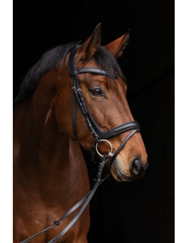 Snaffle Anatomic