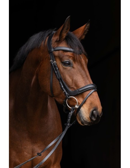 Snaffle Anatomic