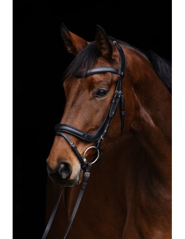 Snaffle Anatomic