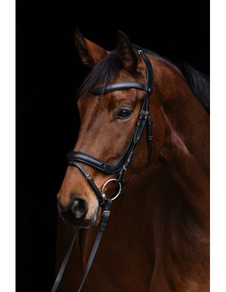 Snaffle Anatomic
