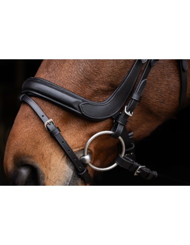 Snaffle Anatomic